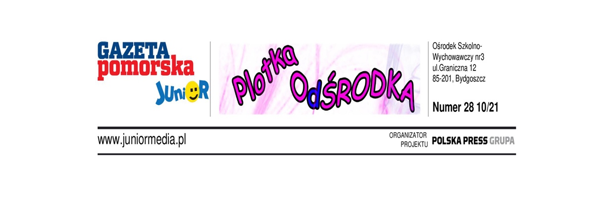 Plotka Od Środka numer 28