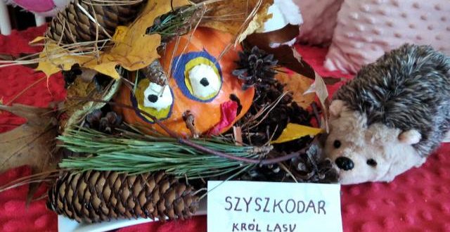 „Leśne przygody z Szyszkodarem”