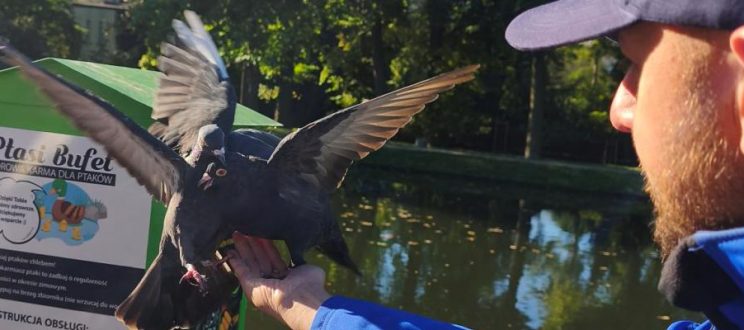 WARSZTATY ORNITOLOGICZNE – ZAJĘCIA TERENOWE