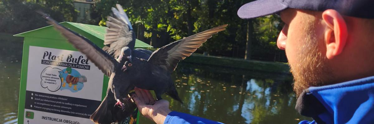 WARSZTATY ORNITOLOGICZNE – ZAJĘCIA TERENOWE