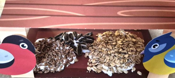 Konkurs plastyczno-sensoryczny pt. „Słonecznikowy przysmak dla ptaków”