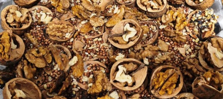 Najciekawszy eko-karmnik dla ptaków